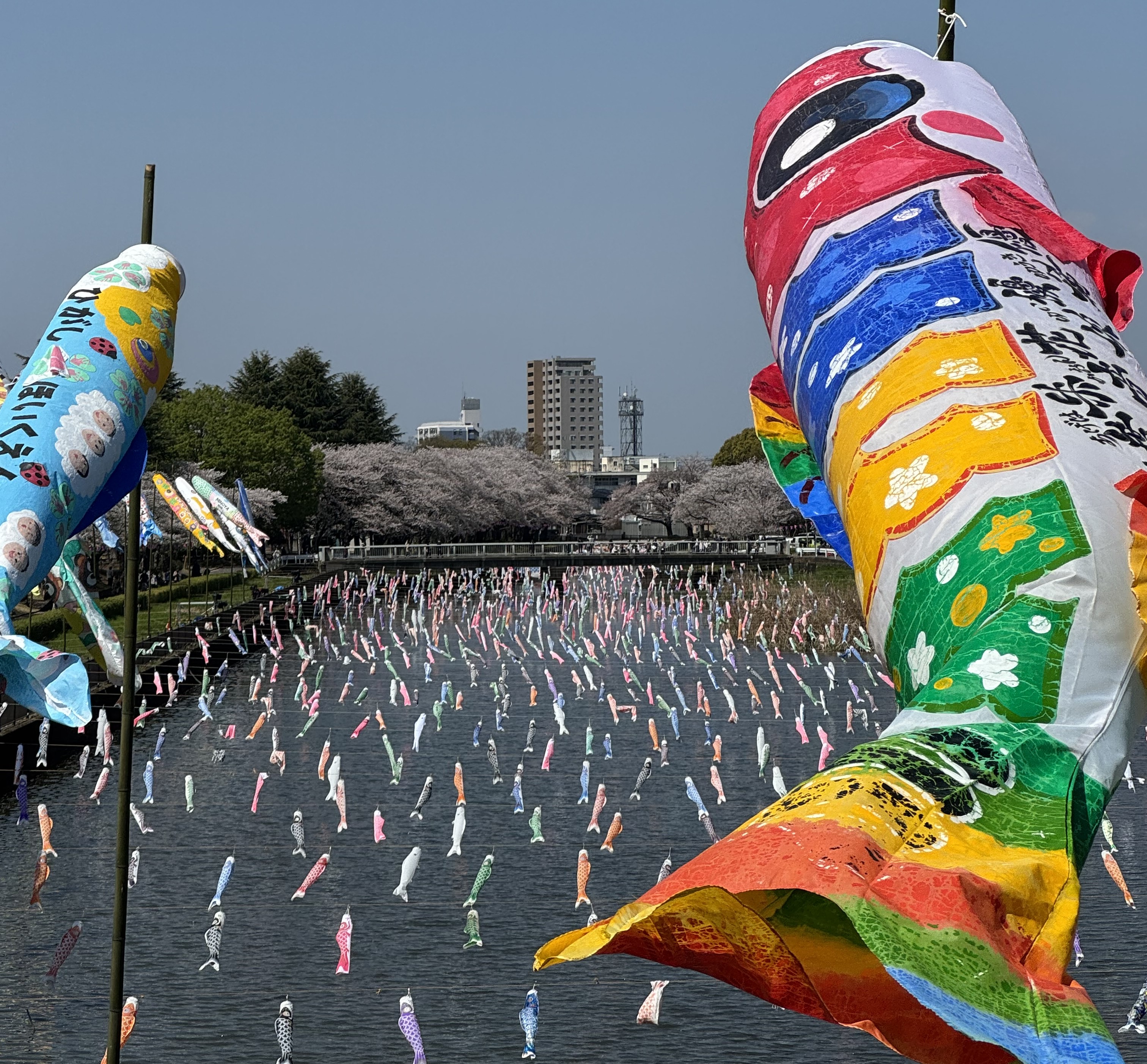 行政書士白石まさたか事務所の概要